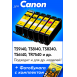 Картриджи для Сanon PIXMA TS9541C, TS9540, TS704 и др. (PGI-480 XXL, CLI-481 XXL) Комплект из 6 шт.0